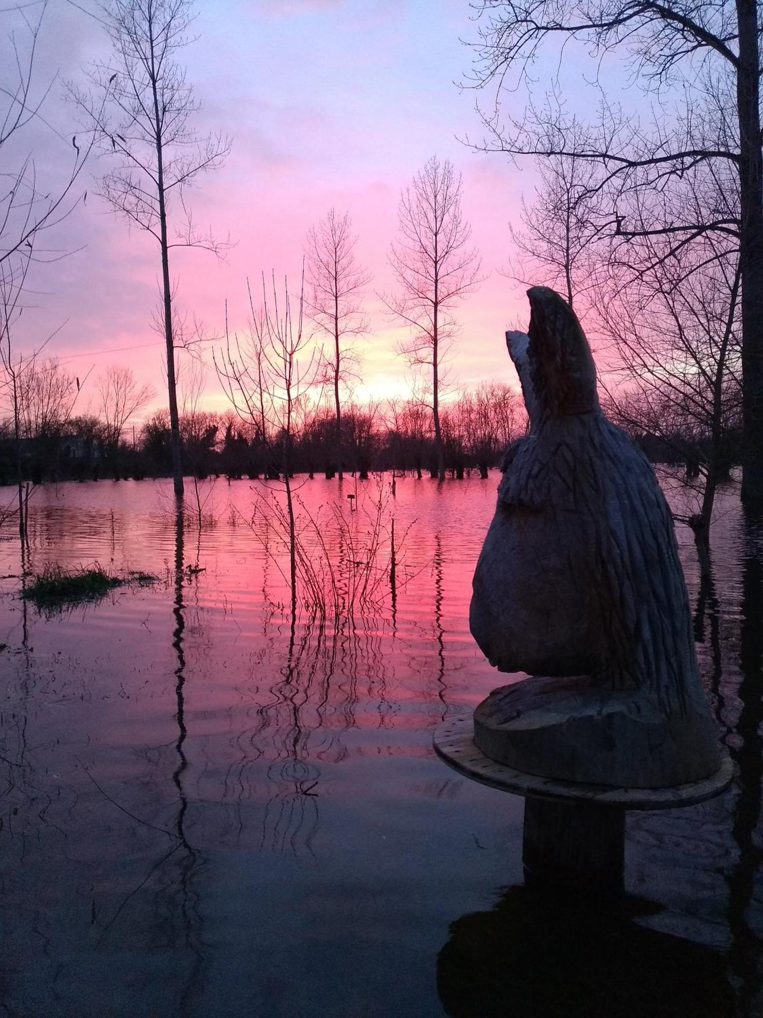 La Ferme Du Marais Poitevin - Roulotte Hotel Benet Bagian luar foto