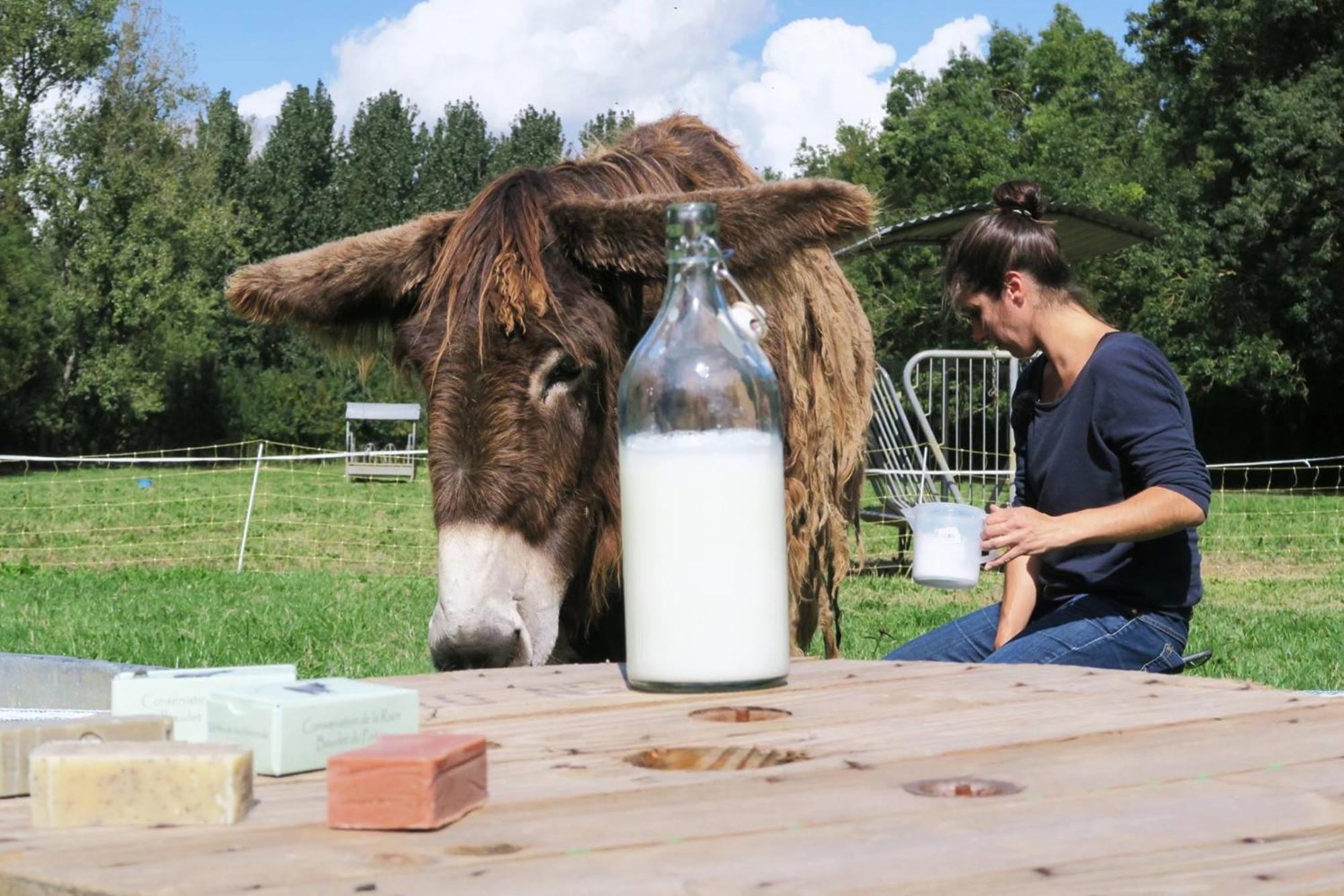 La Ferme Du Marais Poitevin - Roulotte Hotel Benet Bagian luar foto