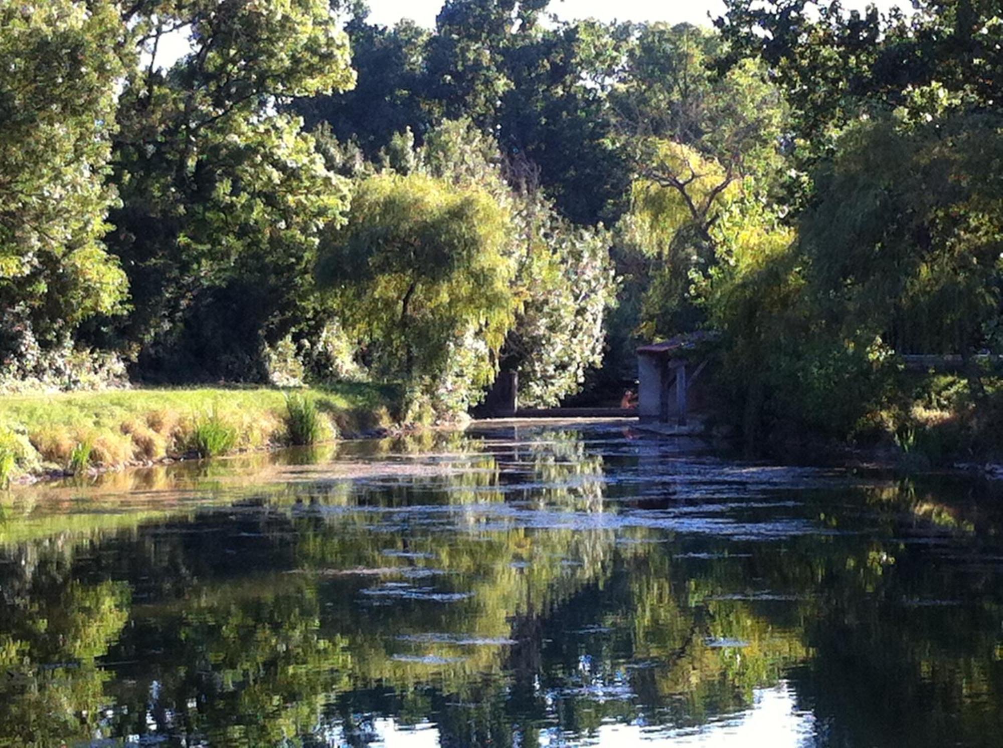 La Ferme Du Marais Poitevin - Roulotte Hotel Benet Bagian luar foto